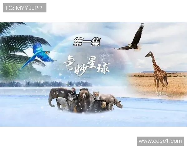 《地球球场外星联赛 星球对决热血踢球争霸赛》